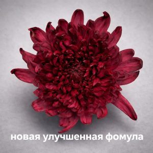 Краска флористическая для стеблей 0,300л цвет №5 Вишневая