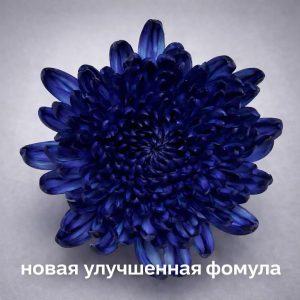 Краска флористическая для стеблей 0,300л цвет №8 Темно-синяя