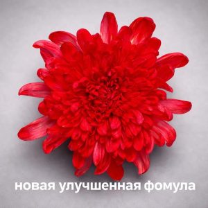 Краска флористическая для стеблей 0,300л цвет №11 Красная