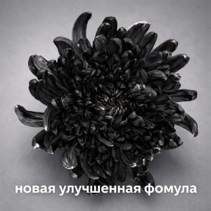 Краска флористическая для стеблей 0,300л цвет №33 Черная