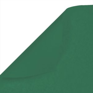 Бумага Тишью 50*66см 10л/уп Зеленый