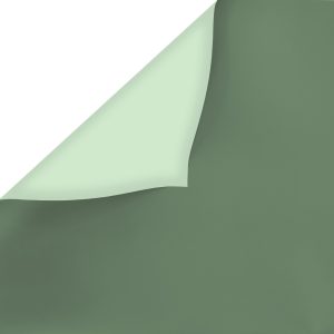Пленка матовая 58х58см Зеленая/мята 20л/уп 095