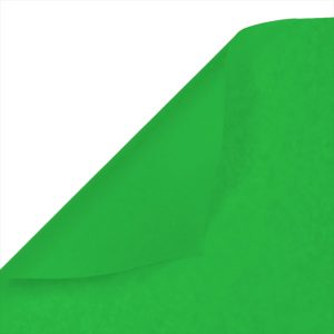 Бумага Тишью 50*66см 10л/уп Зеленый 34