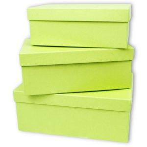 Набор коробок 3 в 1 "Классика" 23,5x15xh9,2, 21,5x12,5xh8,5, 19,5x13xh7,5см Лайм