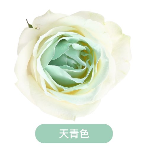 Краска флористическая SINOWRAP PREMIUM 450ml Tiffany Blue 133 матовая